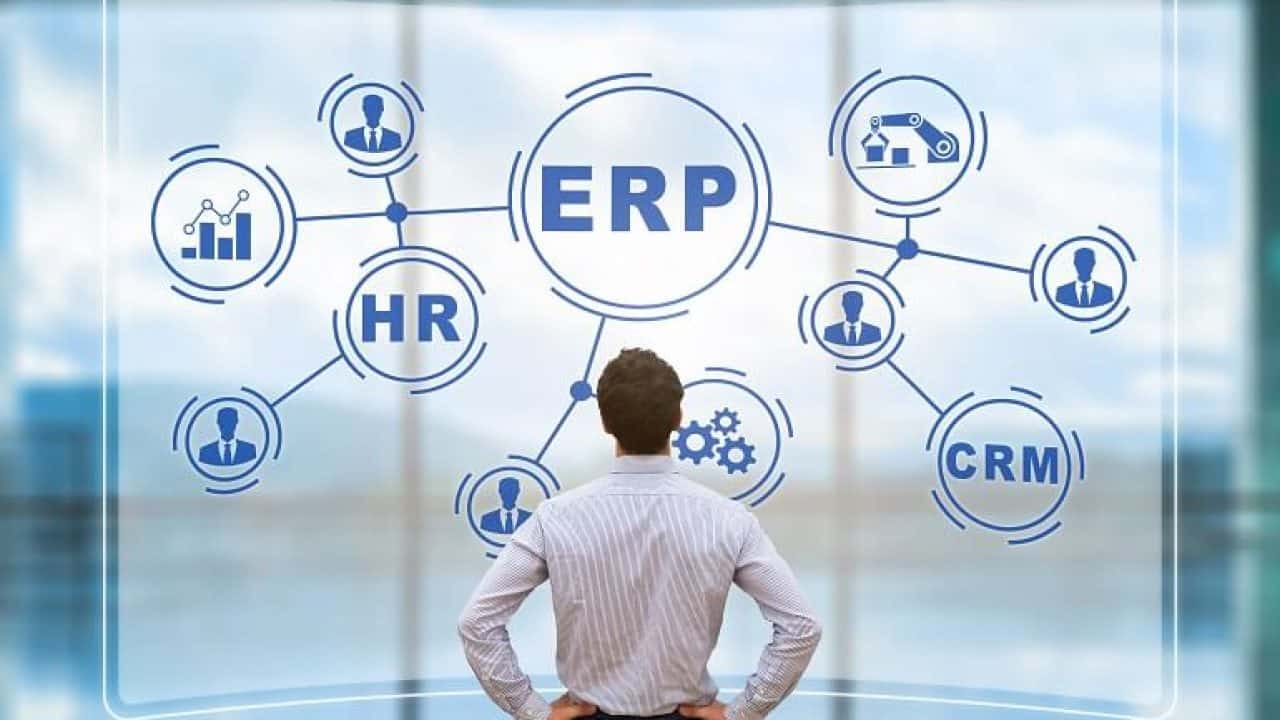 How ERP Software can help you organize your business?